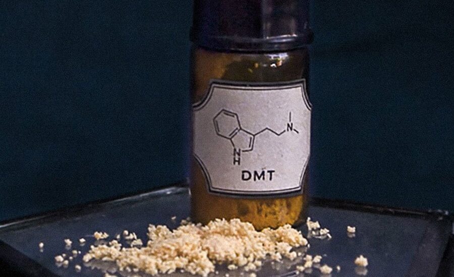 DMT Myths And Facts